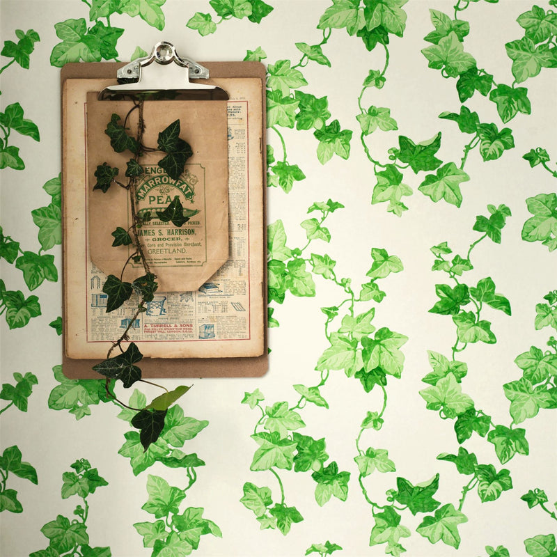 Hedera Wallpaper 214593 by Sanderson in Green