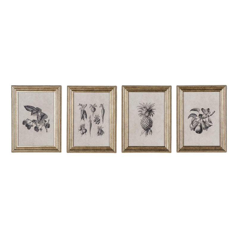 Allotment Studies Fruit Illustration Wall Art Set of 4 with Champagne Frame