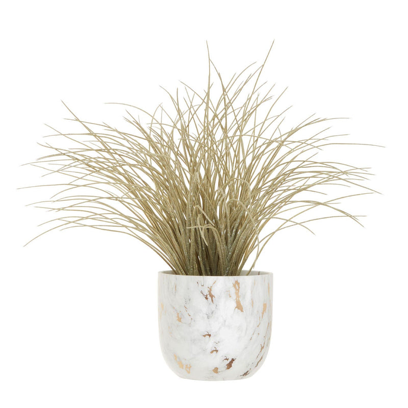Grass Plant In Marble Planter
