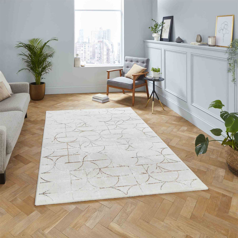 Creation G2851 Geometric Distressed Rugs in Beige Silver