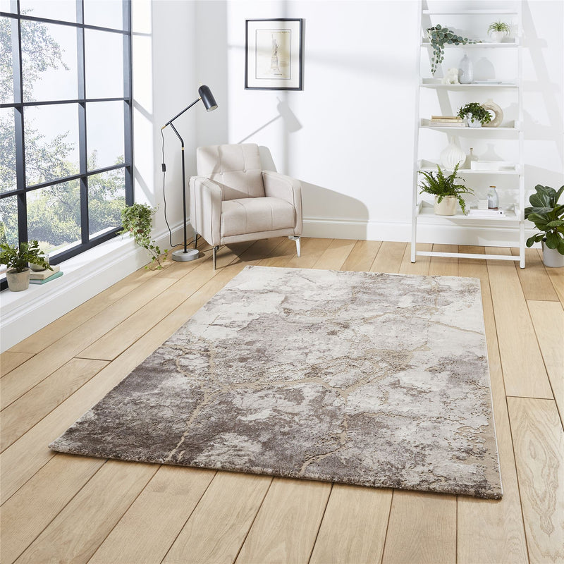 Florence 50032 Marble Modern Rugs in Beige Silver