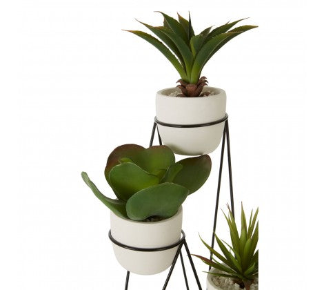 Succulents with Metal Stand
